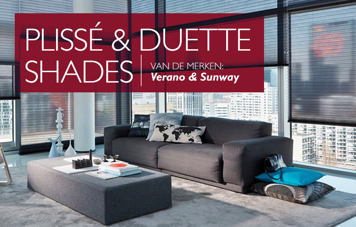 Plissé en Duette shades_Son-en-Breugel